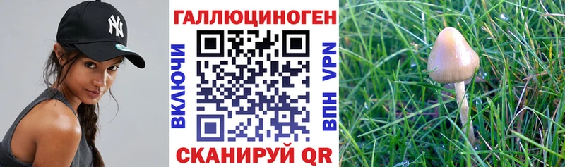 Псилоцибиновые грибы Magic Shrooms  Александровское 